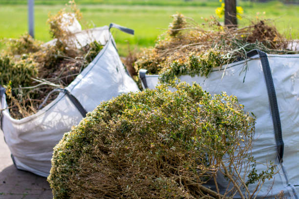 Best Commercial Junk Removal  in Byrdstown, TN
